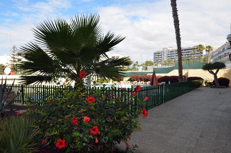 Apartamentos Los Juncos I Playa del Inglés Exteriér fotografie